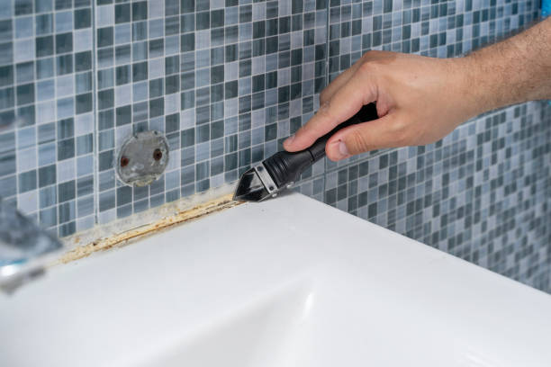  Llender, CA Mold Removal Pros